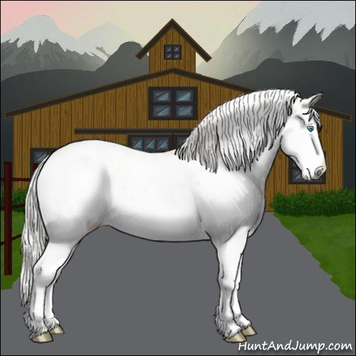 Horse Color:Cremello Sabino  and Cremello Sabino Splash 