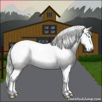 Horse Color:Cremello Sabino and Cremello Sabino Splash