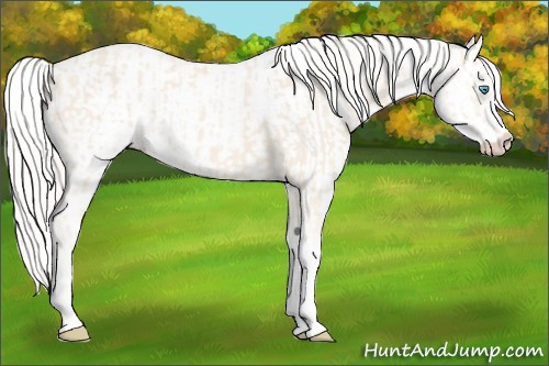 Horse Color:Cremello Sabino  and Cremello Sabino 