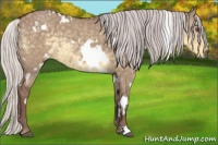 Horse Color:White Spotted Chocolate Silver Smoky Grullo Chinchilla