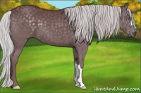 Horse Color:Chocolate Silver Black Chinchilla 