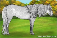 Horse Color:White Spotted Silver Grullo Chinchilla 