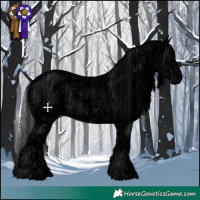 Horse Color:Void Midnight Black  and Void Midnight Cremello Sabino Appaloosa 