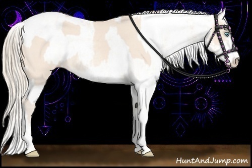 Horse Color:Perlino Sabino and Perlino Sabino