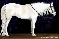 Horse Color:Perlino Sabino and Perlino Sabino