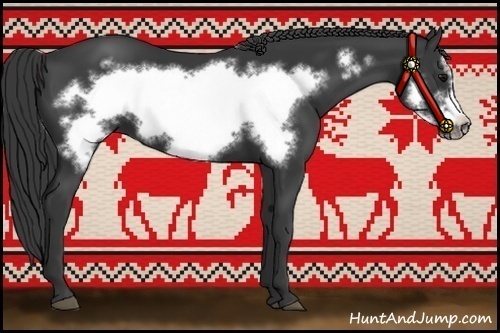 Horse Color:Black Frame
