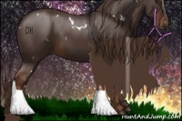 Horse Color:White Spotted Liver Chestnut 