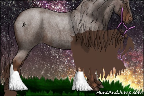 Horse Color:Liver Red Roan 