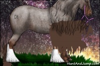 Horse Color:Liver Red Roan 