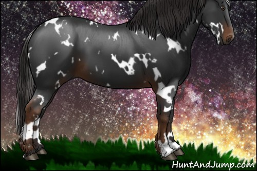 Horse Color:Gray White Spotted Liver Chestnut 