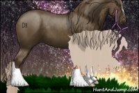 Horse Color:Chocolate Palomino 