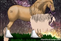 Horse Color:Palomino Sabino 