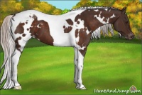 Horse Color:White Spotted Silver Brown Tobiano Varnish 
