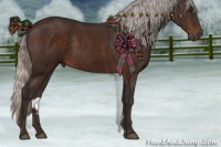 Horse Color:Silver Brown 