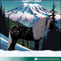 Horse Color:Void Watercolor White Spotted Silver Amber Champagne Dun Splash Appaloosa