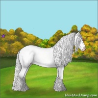 Horse Color:Silver Perlino Dun 