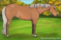 Horse Color:Silver Bay