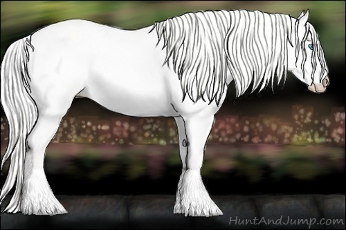 Horse Color:Cremello Dun 