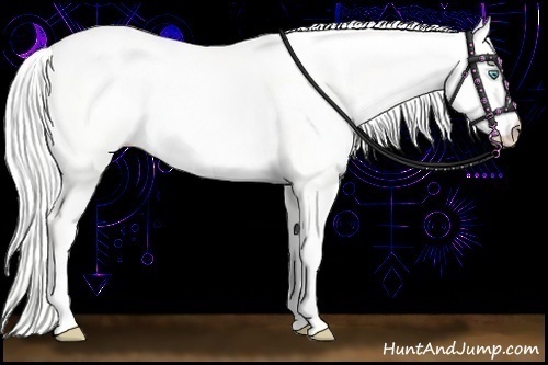 Horse Color:Silver Perlino Dun 
