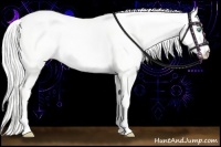 Horse Color:Silver Perlino Dun 