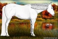 Horse Color:Cremello Dun 