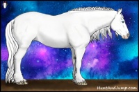 Horse Color:Cremello Dun 