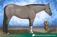 Horse Color:Grullo 
