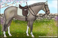 Horse Color:Silver Grullo 