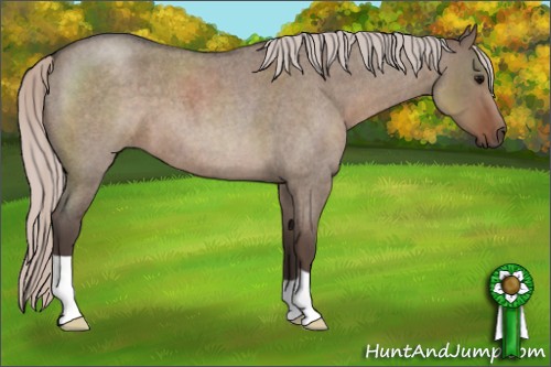 Horse Color:Silver Grullo Roan 