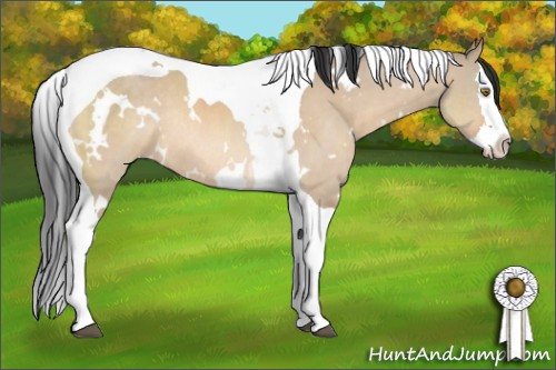 Horse Color:White Spotted Brown Dun Splash Tobiano Rabicano 