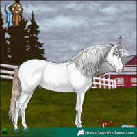 Horse Color:Bay Pearl Dun Sabino