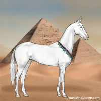 Horse Color:Silver Perlino Dun 