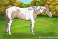 Horse Color:Black Pearl Tobiano Rabicano 
