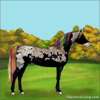 Horse Color:Painted White Spotted Chocolate Palomino Ice Splash 