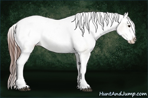Horse Color:White Spotted Brown Dun Varnish 
