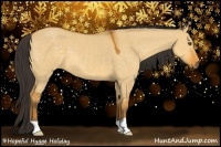 Horse Color:Buckskin Dun 