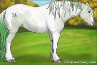 Horse Color:Watercolor Classic Champagne Tobiano 
