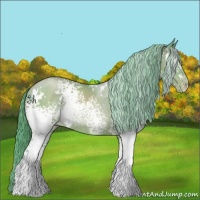 Horse Color:Watercolor White Spotted Black Pearl