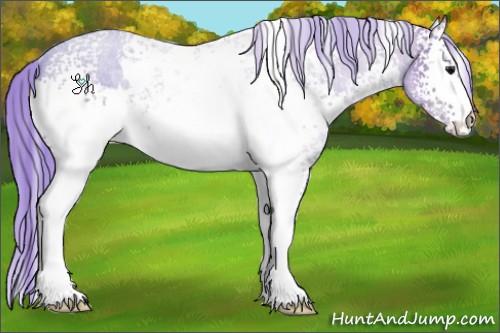 Horse Color:Watercolor White Spotted Smoky Black Ice Rabicano 