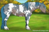 Horse Color:Watercolor White Spotted Bay 
