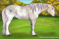 Horse Color:Watercolor White Spotted Silver Black Ice Pearl Sabino