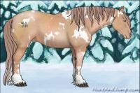 Horse Color:Watercolor White Spotted Bay Pearl Sabino 