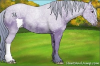 Horse Color:Watercolor Bay Ice 