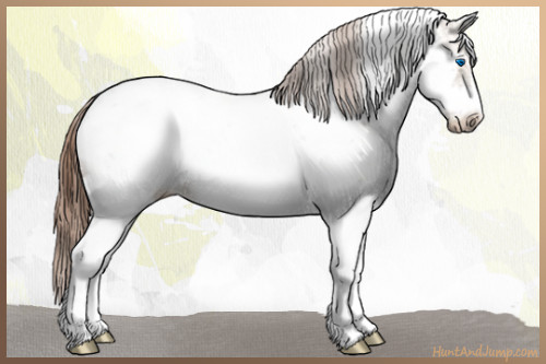 Horse Color:White Spotted Classic Champagne Tobiano Frame Appaloosa 