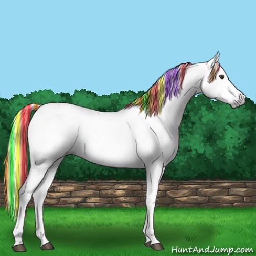 Horse Color:Gray Painted Buckskin Dun Appaloosa Rabicano 