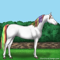 Horse Color:Gray Painted Buckskin Dun Appaloosa Rabicano 