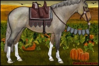 Horse Color:Silver Smoky Grullo Roan 