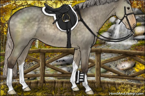 Horse Color:Silver Smoky Grullo 