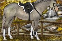 Horse Color:Silver Smoky Grullo