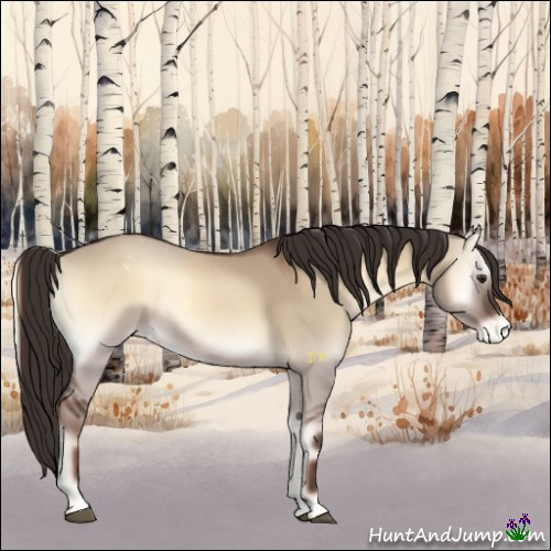 Horse Color:Liver Red Dun Onyx Appaloosa 